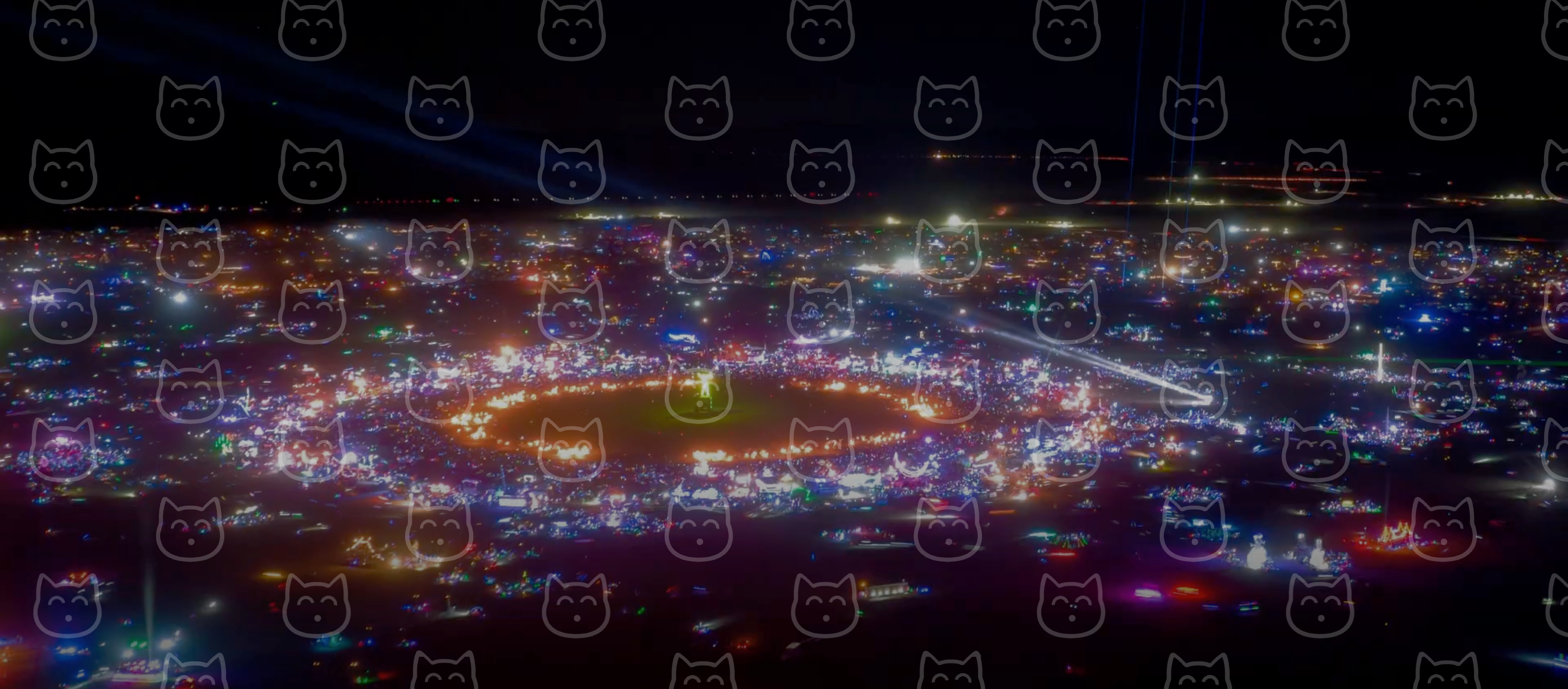 Musician performing on stage